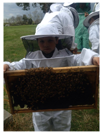 holding bees (3 part 1)